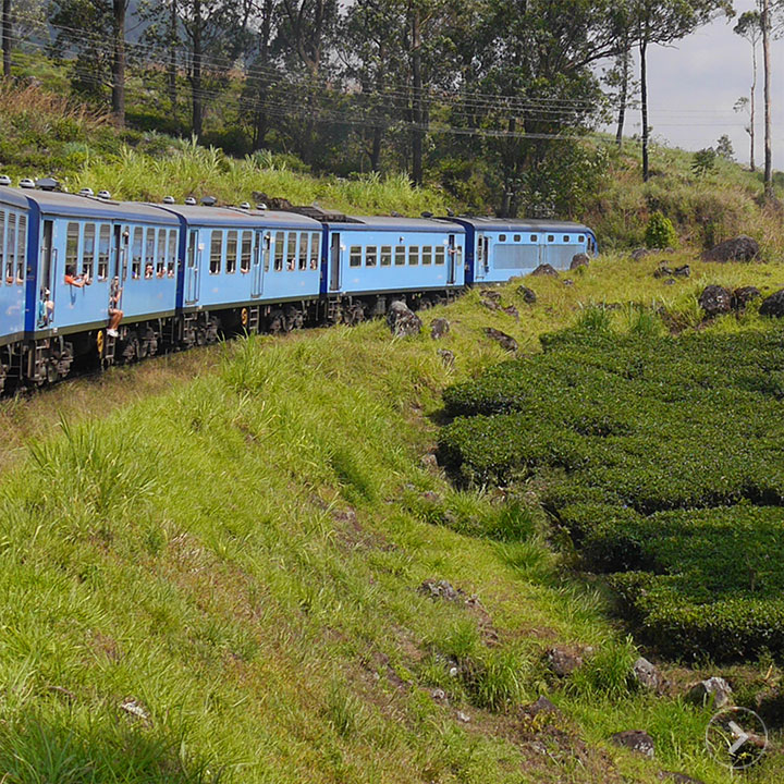 Touren villa layanga sri lanka