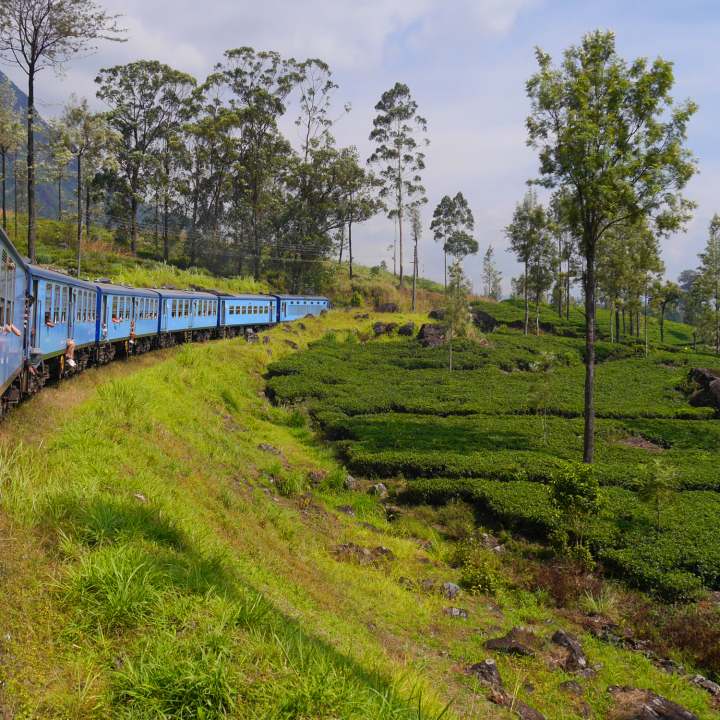 sri lanka touren