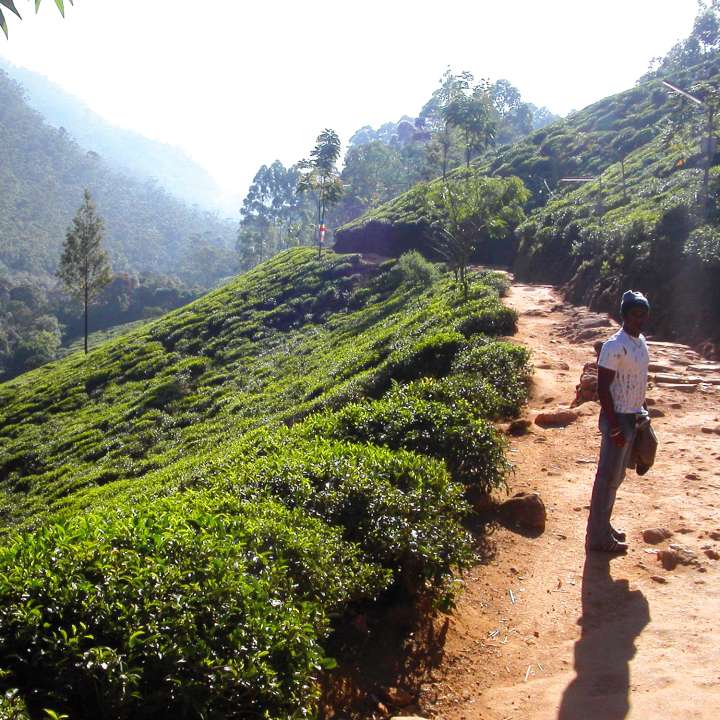 sri lanka touren